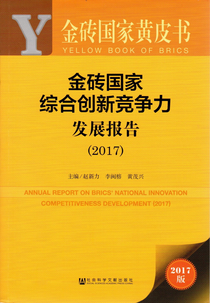 肥婆操肥逼视频金砖国家综合创新竞争力发展报告（2017）